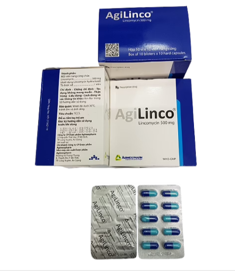 Agi_AgiLinco_Lincomycin 500_H100v