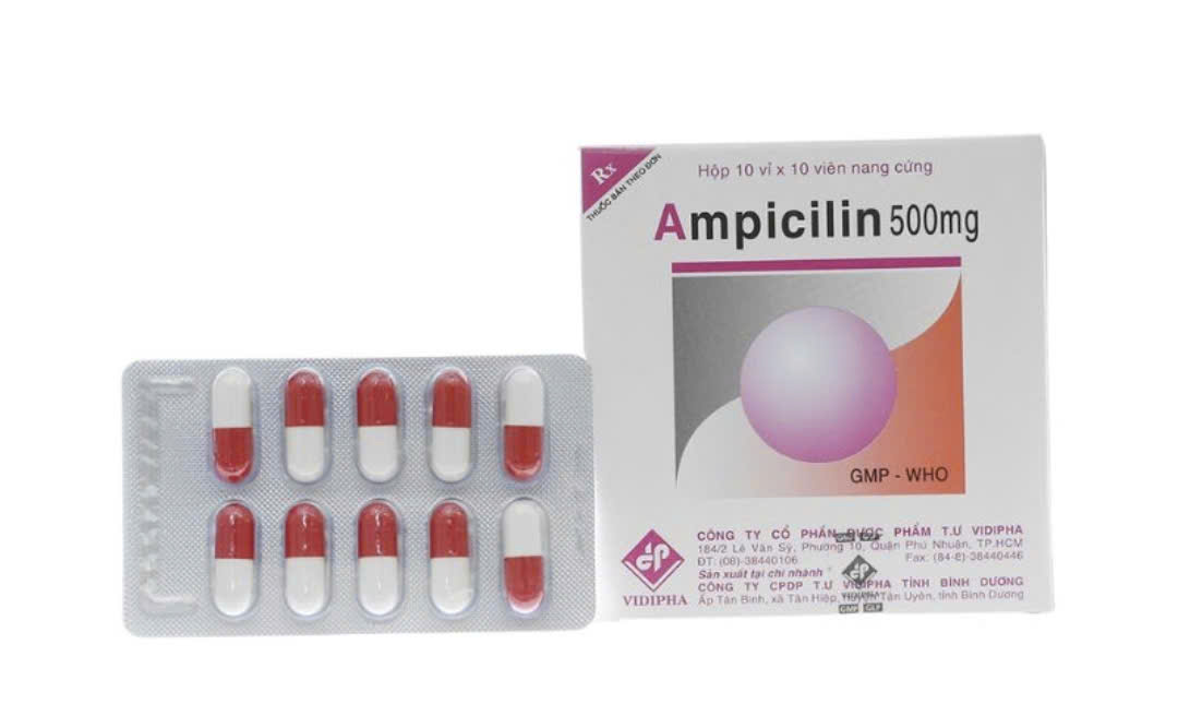 AMPICILIN 500MG_H100V_VIDI