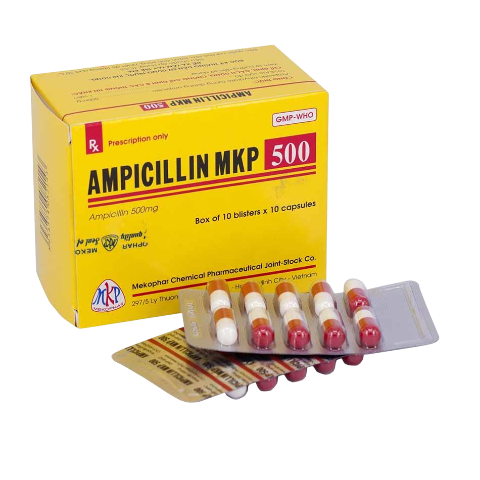 MKP_Ampicillin MKP 500_H100v