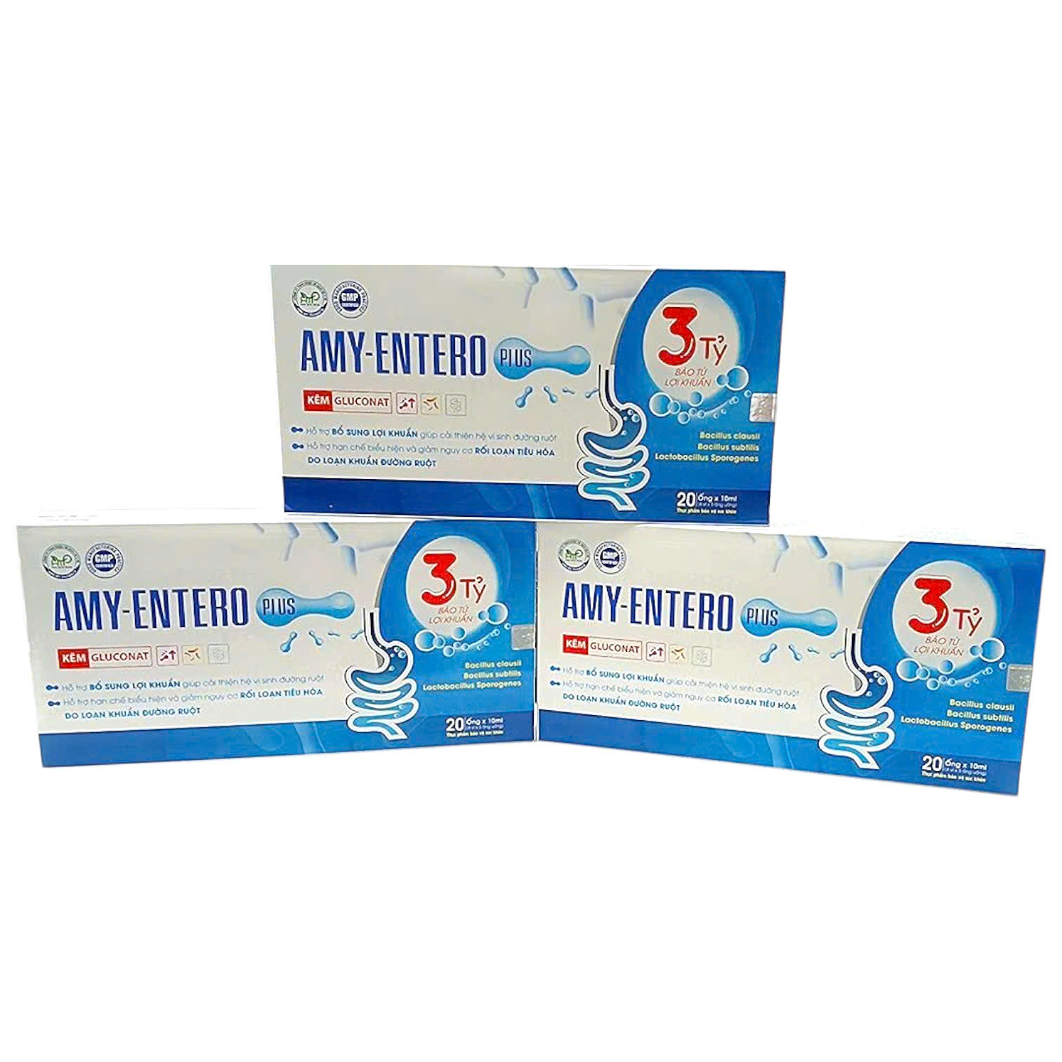 AMY-ENTERO Plus_H/20/10ml