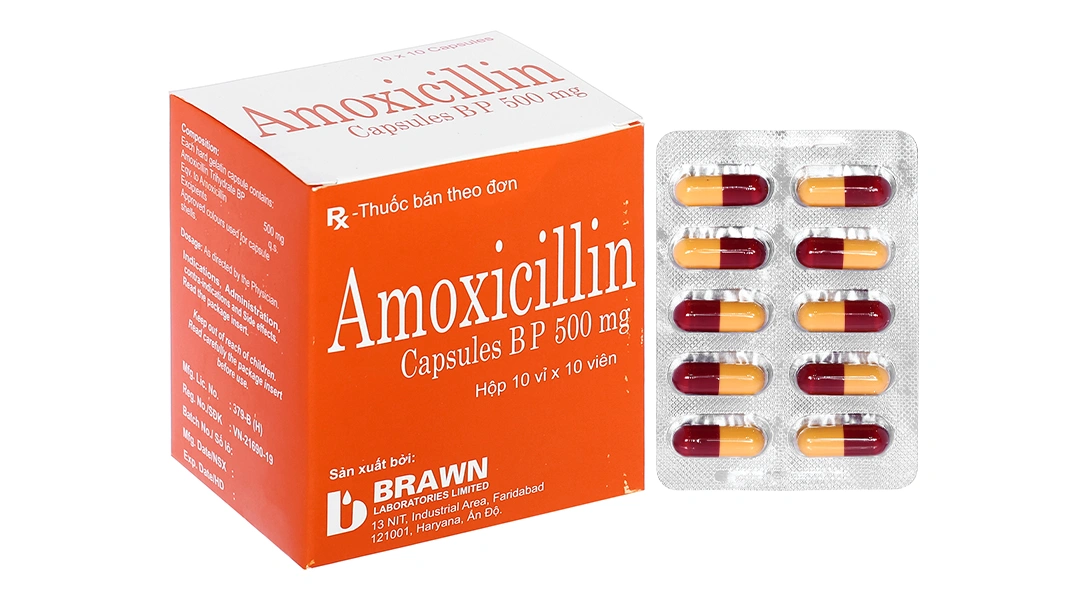 ÂN_Amoxicillin 500mg_H/100v