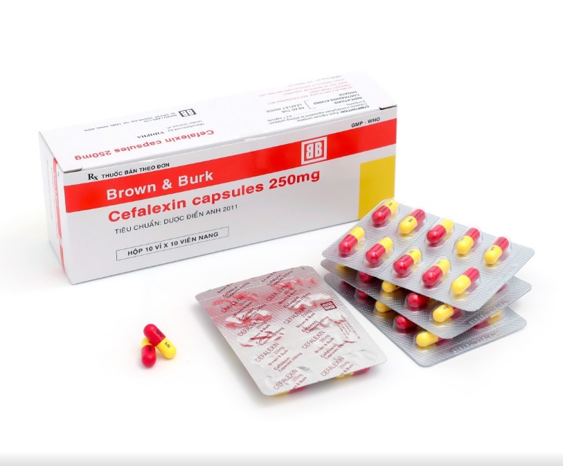 Ấn_Cefalexin 250mg_H100v