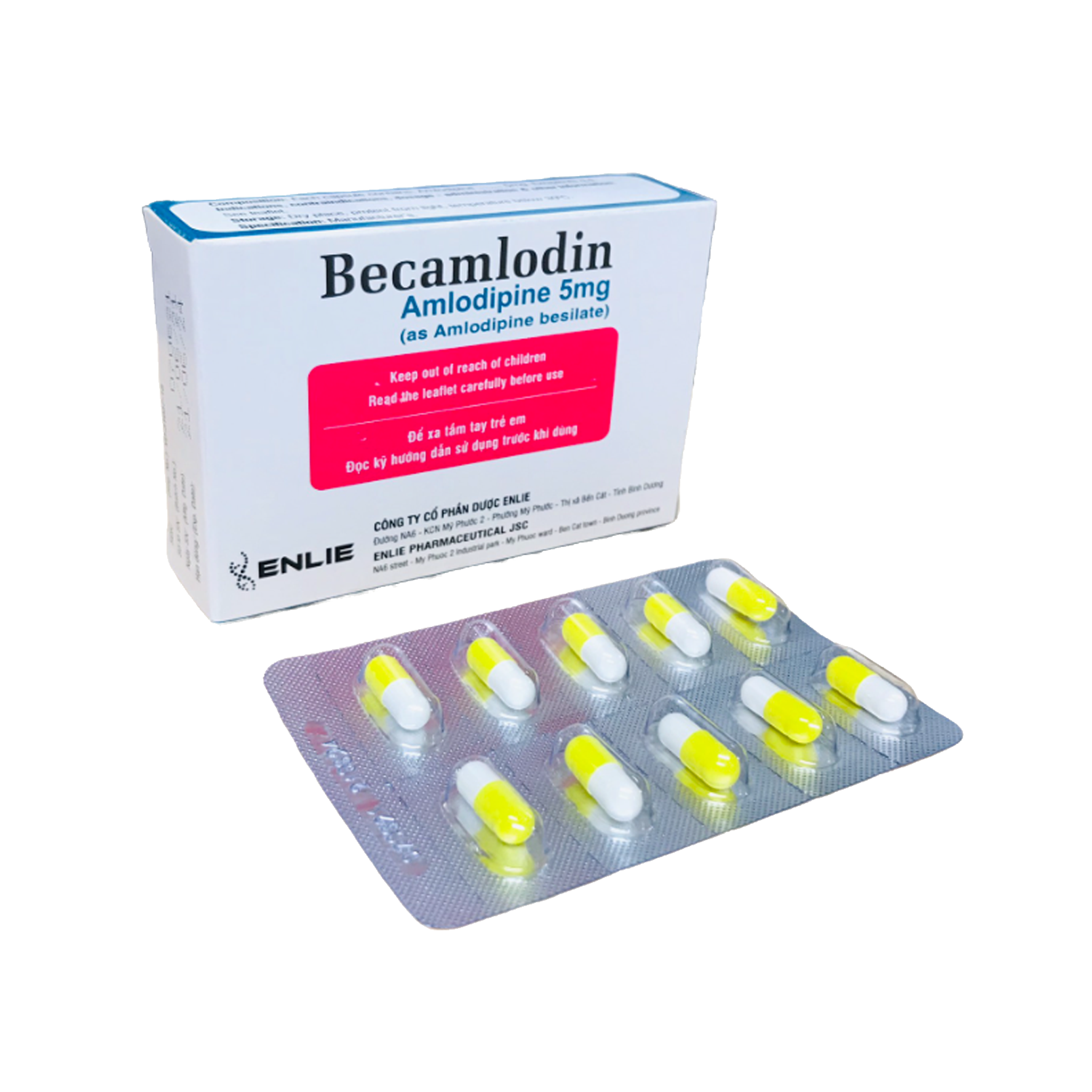 BECAMLODIN - amlodipin 5mg - Hộp 3 vỉ x 10 viên nang cứng 