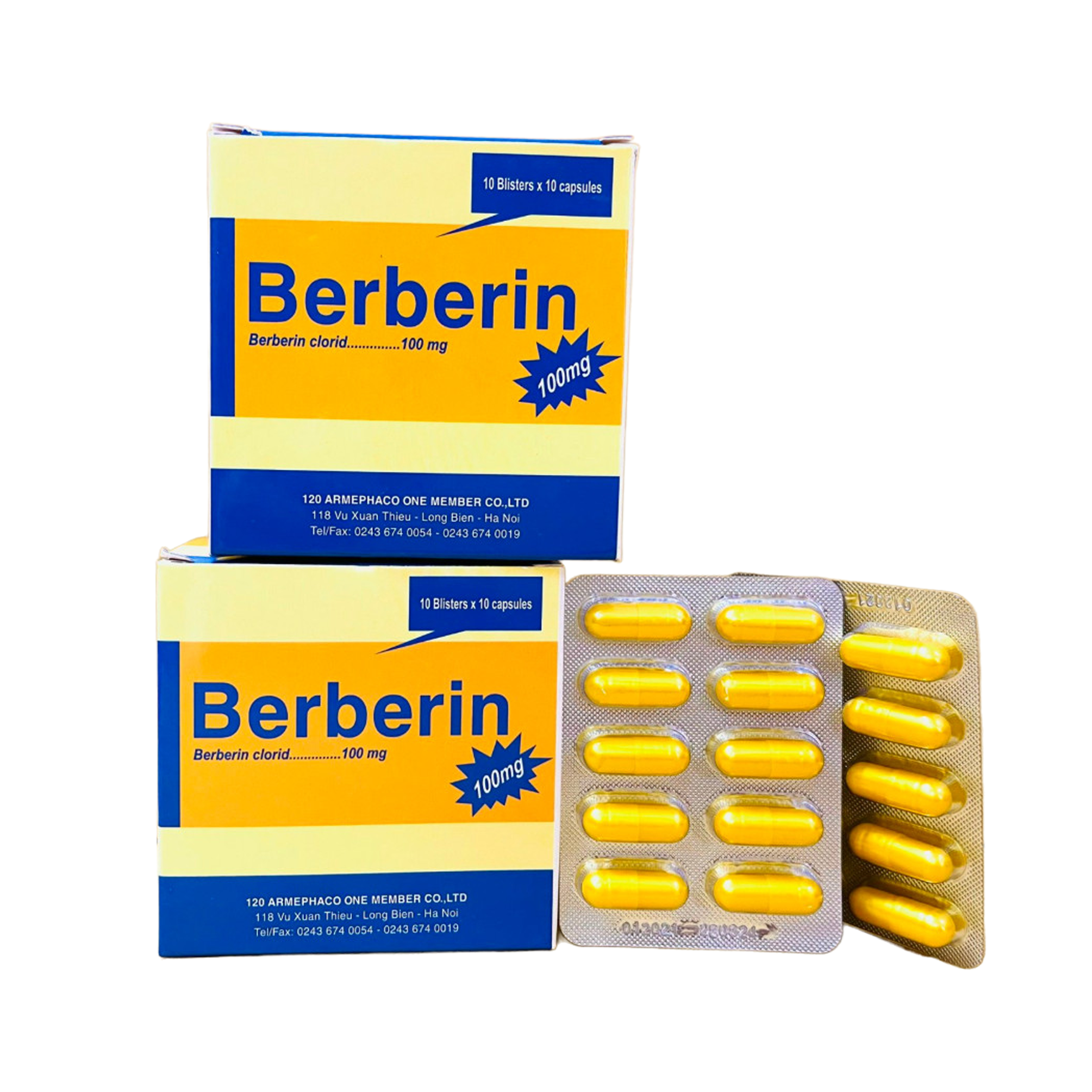 BERBERIN - HỘP 10 VỈ X 10 VIÊN  - DƯỢC 120