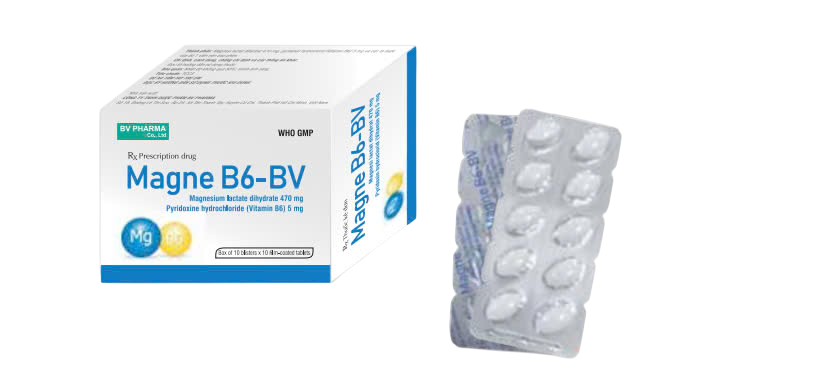 BV Pharma_Magne B6-BV_H100v