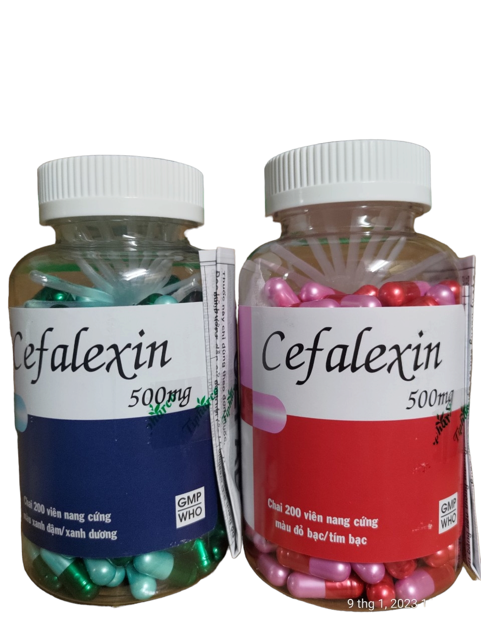 Tiền Giang_Cefalexin 500mg- chai 200v