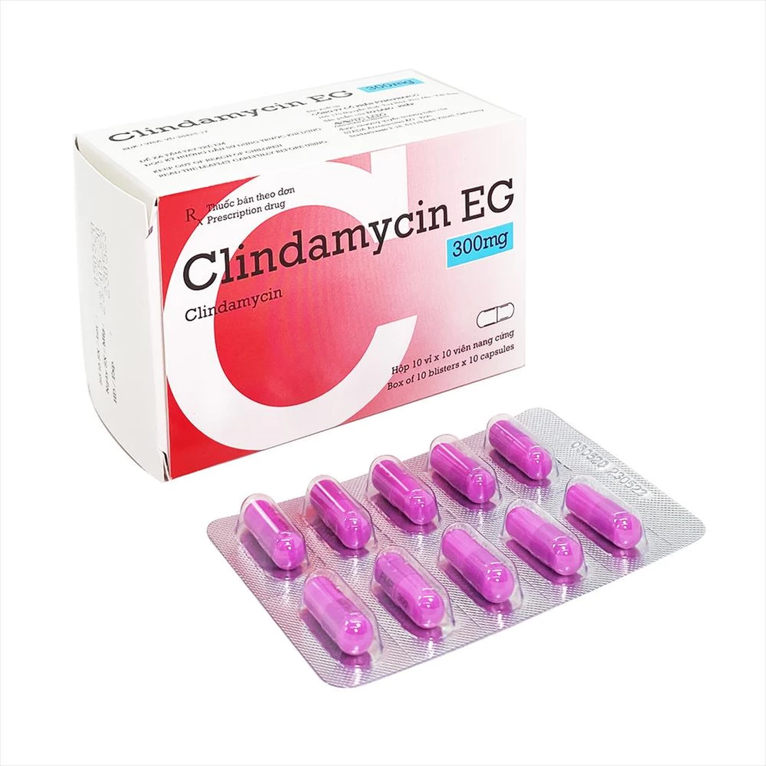 Clindamycin EG 300mg_H/100v