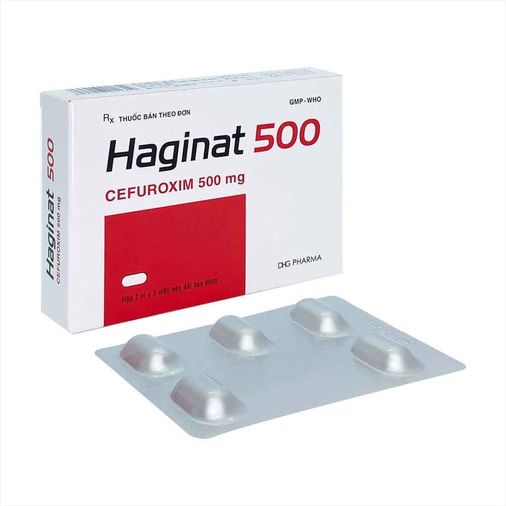 DHG_Haginat 500_H10v