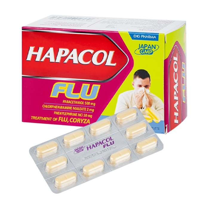 DHG_HAPACOL FLU_H100v