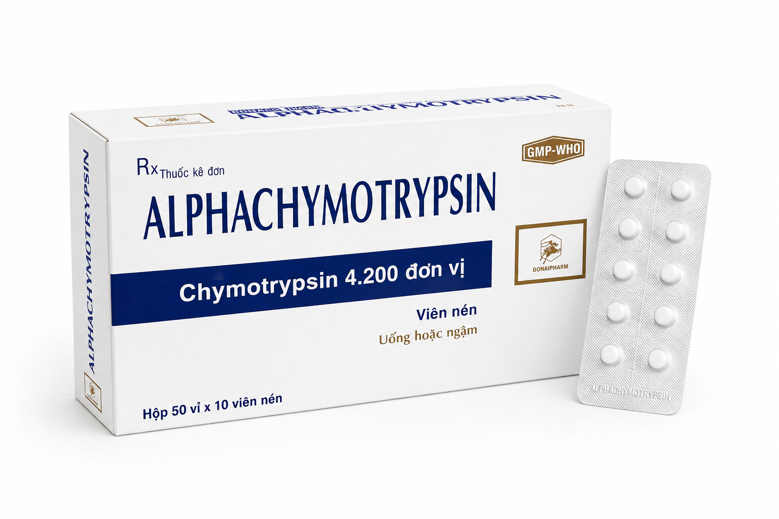 Đồng Nai_Alphachymotrypsin 4200UI_H/500v_K32