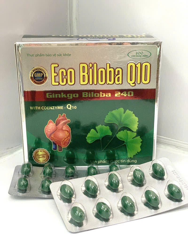 Eco Biloba Q10  Ginkgo Biloba 240_H100v