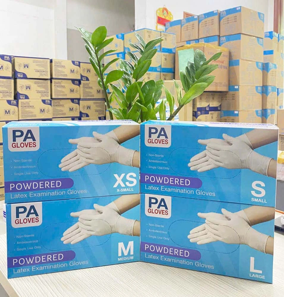 Găng tay y tế có bột PA Gloves size M
