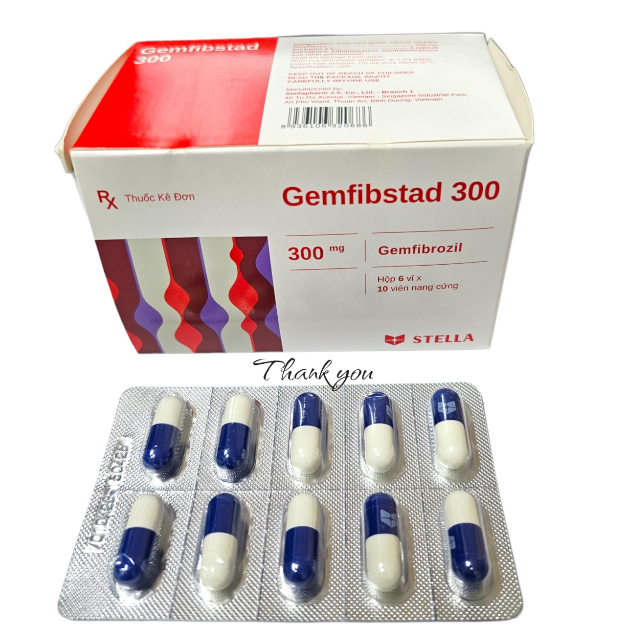 Gemfibstad300_H60v_STELLA Date 30.11.2025