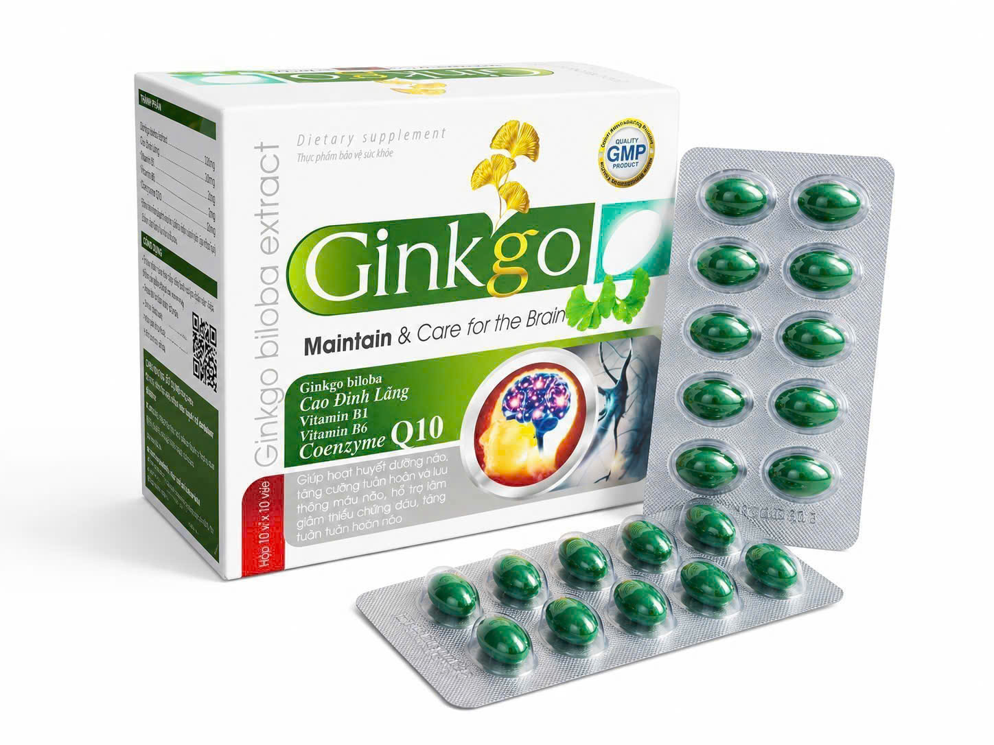 GINKGO 240mg xanh lá_H/100v_K120