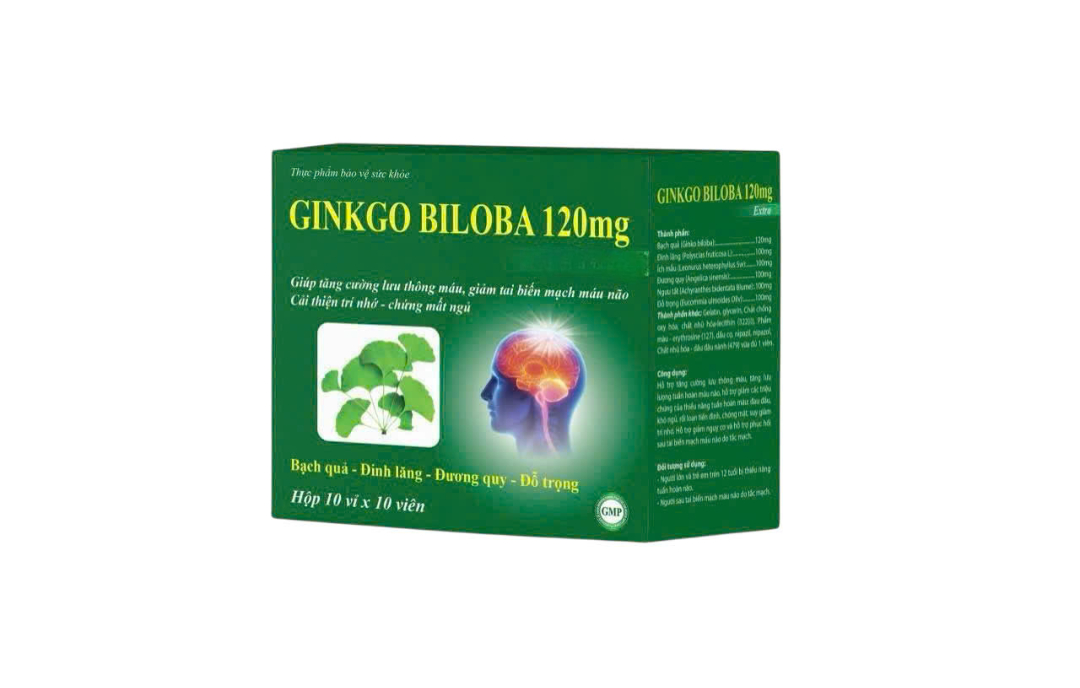 Vianpha_Ginkgo Biloba 120mg (Hộp 10 vỉ x 10 viên)_K120