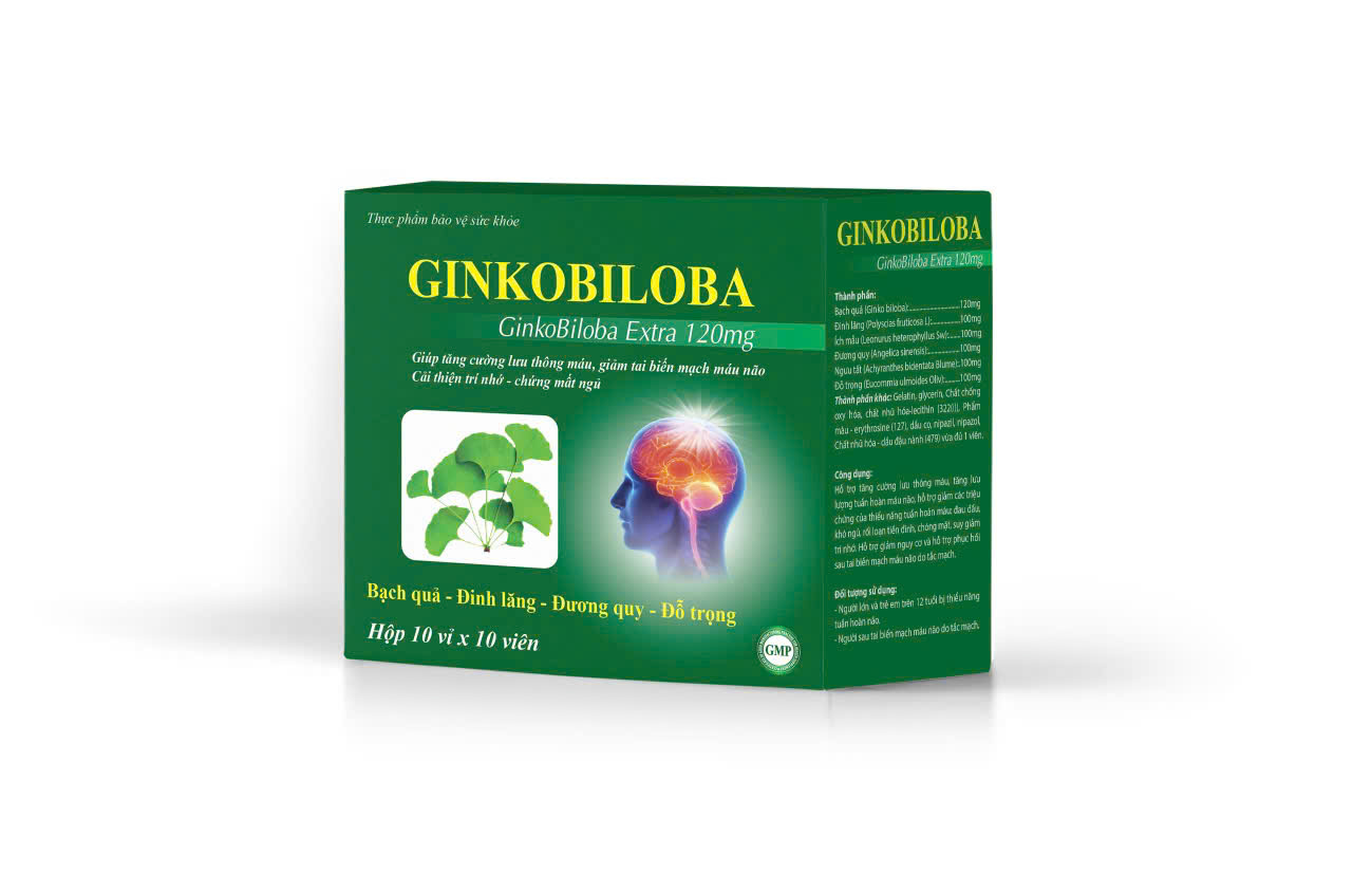 Vianpha_Ginkgo Biloba 120mg (Hộp 10 vỉ x 10 viên)_K120