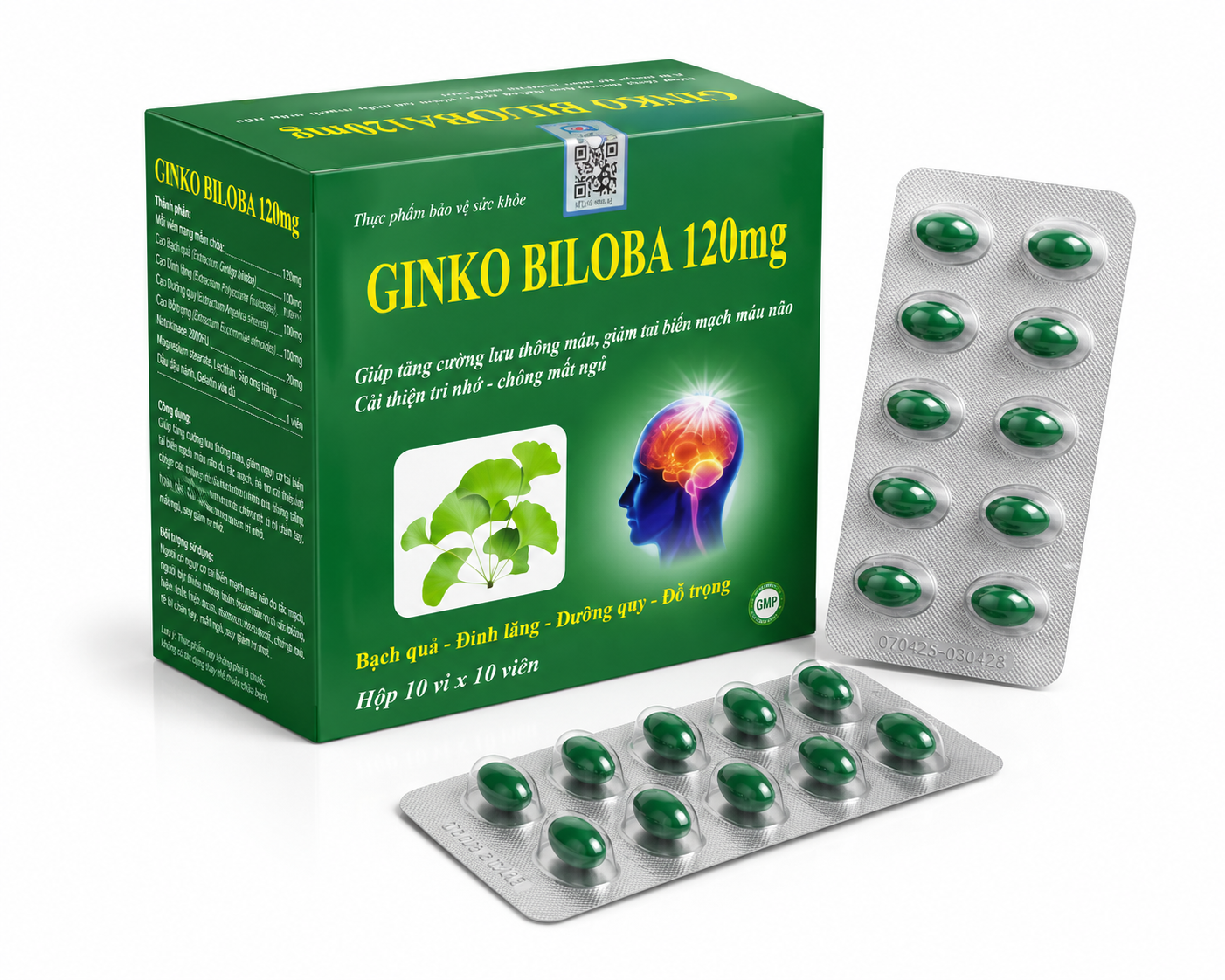 Vinapha_Ginko Biloba 120mg (Hộp 10 vỉ x 10 viên)_K120