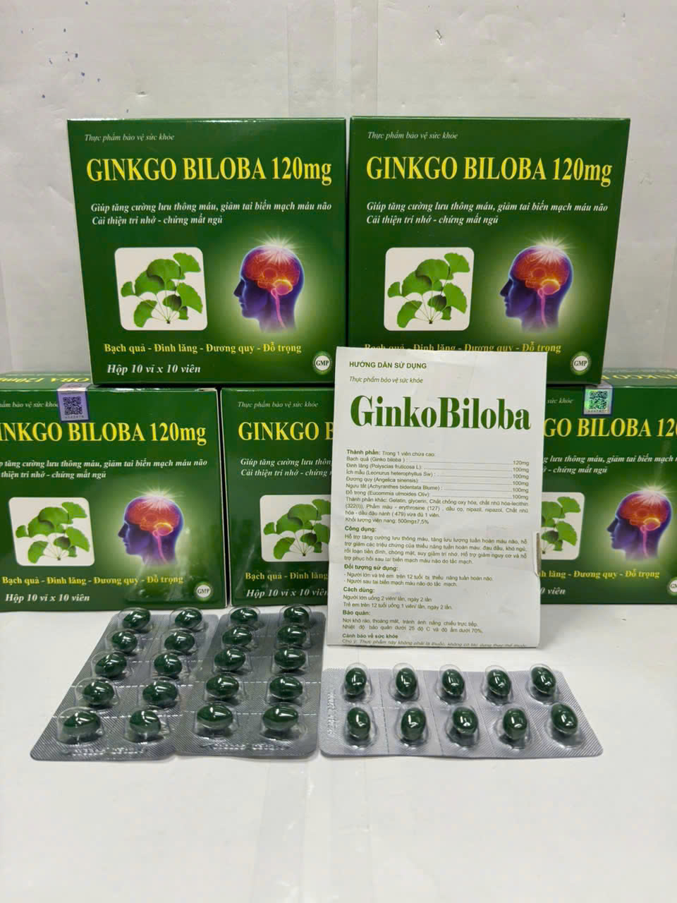 GINKGO BILOBA 120mg_H100v