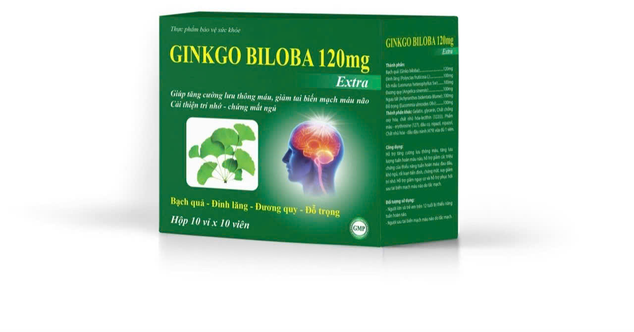 GINKGO BILOBA 120mg_H100v