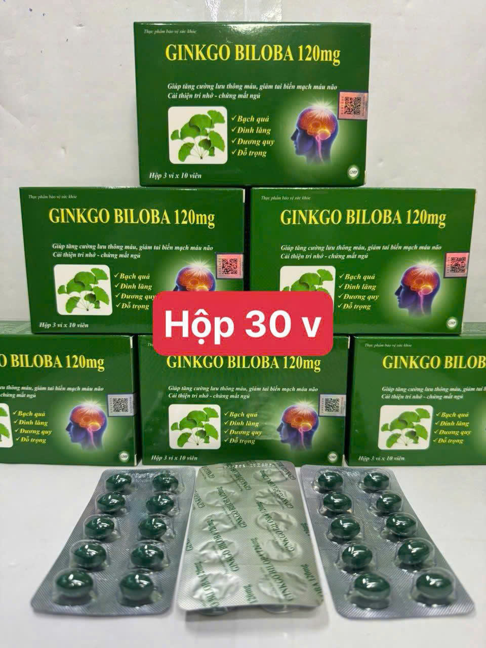 GINKGO BILOBA 120mg_H30v
