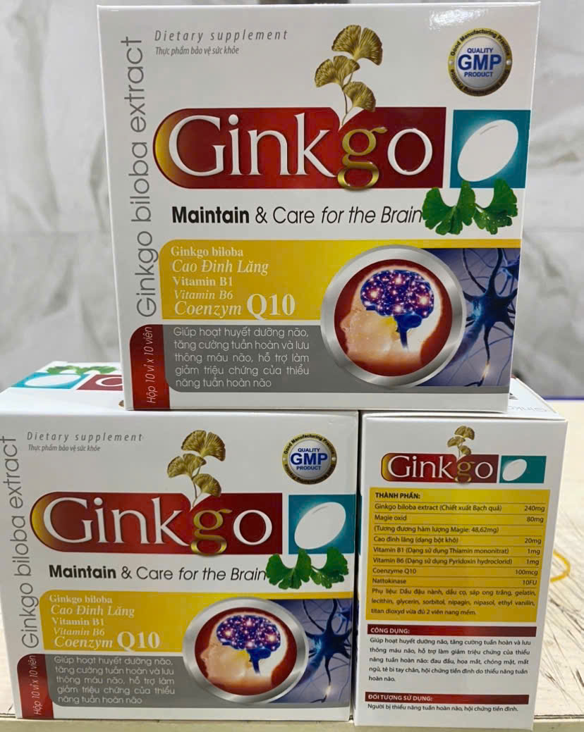Ginkgo Maintain & Care for the Brain_H100v