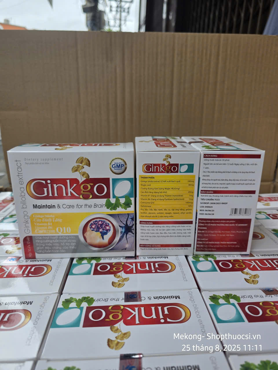 Ginkgo Maintain & Care for the Brain_H100v