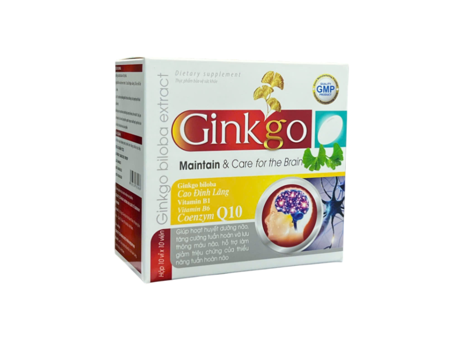 Ginkgo Maintain & Care for the Brain 240mg_H100v_K120