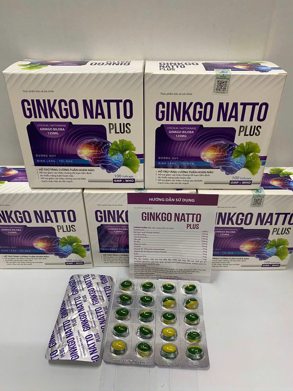GINKGO NATTO PLUS _H100v