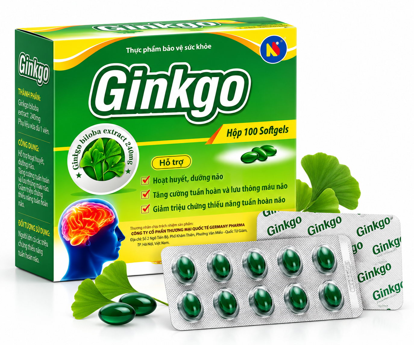 Ginkgo_H/100v_K155