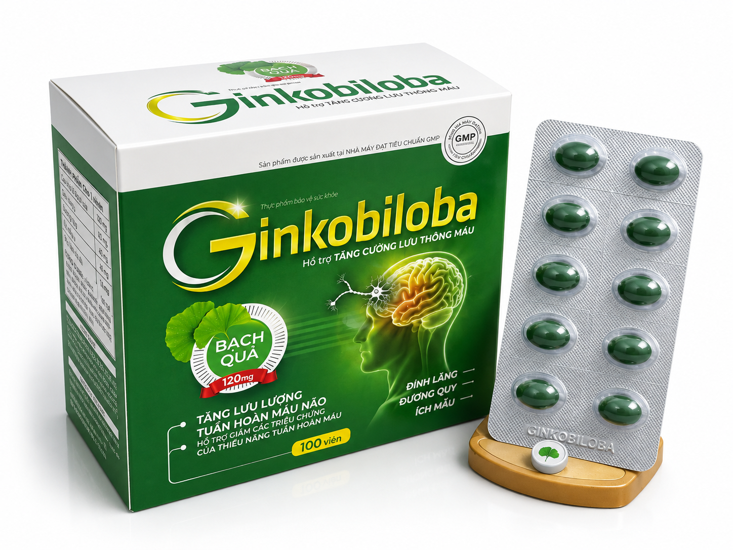 Vinaphar_Ginkobiloba Bạch Quả_H/100v_K105