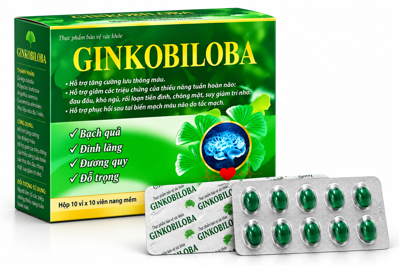 Ginkobiloba_H/100v_K105