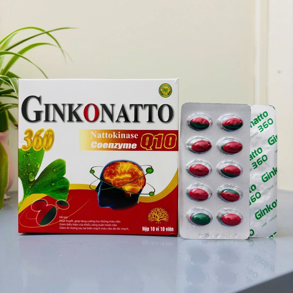 GINKONATTO 360 Đỏ_H100v