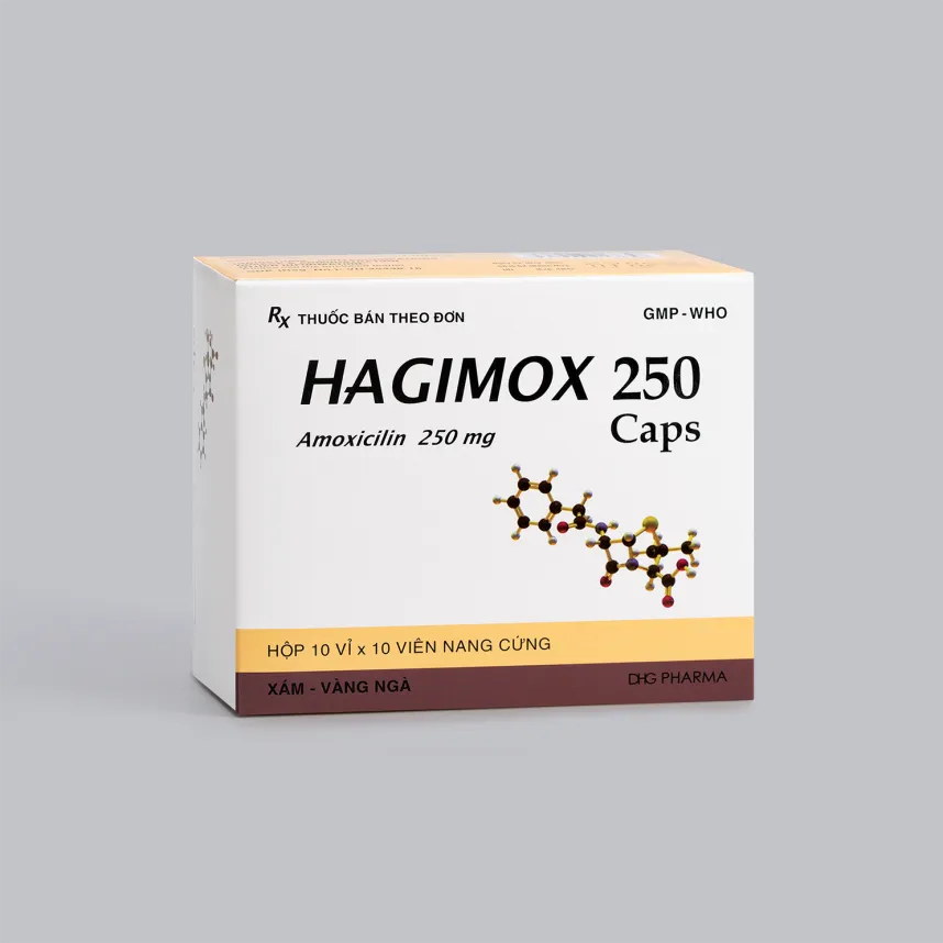 DHG_Hagimox Amoxicillin 250mg_H100v