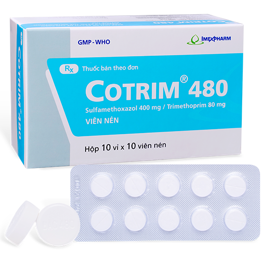Imex_Cotrim 480_H/100v