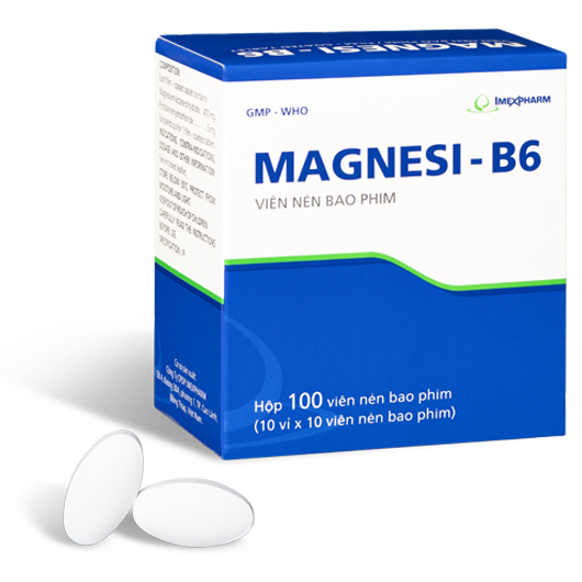 Imex_MAGNESI-B6_H100v