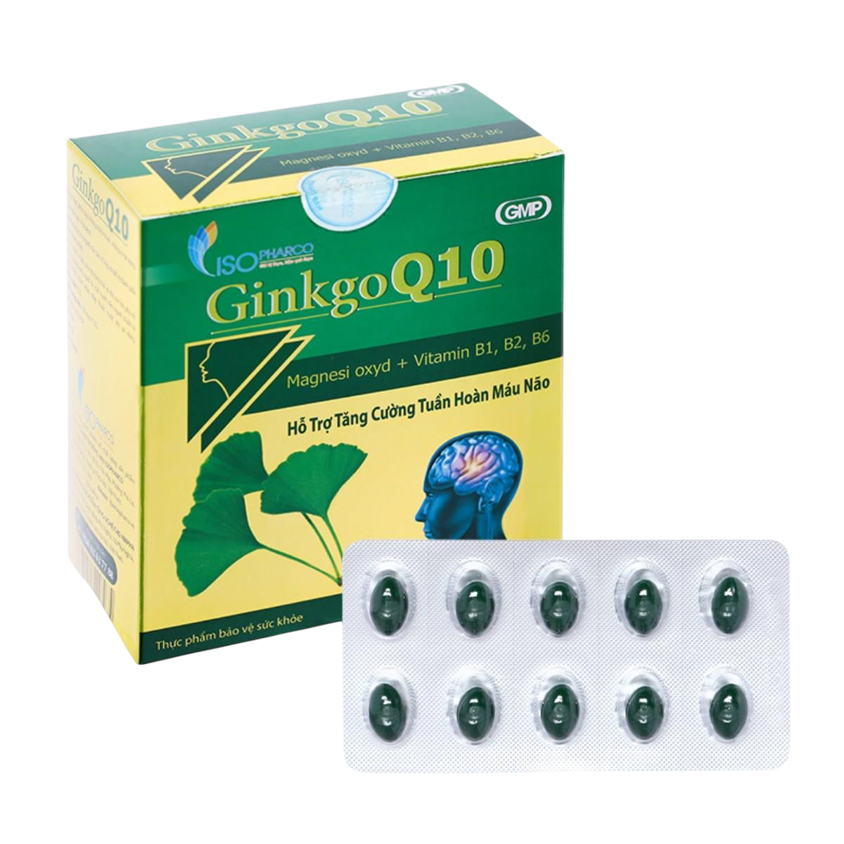 ISOPHARCO_BỔ NÃO GINKGO Q10 H/100V