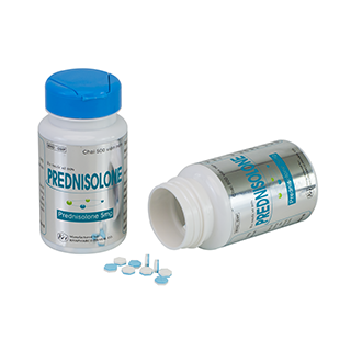 Khánh Hòa_Prednisolone 5mg_C/500v