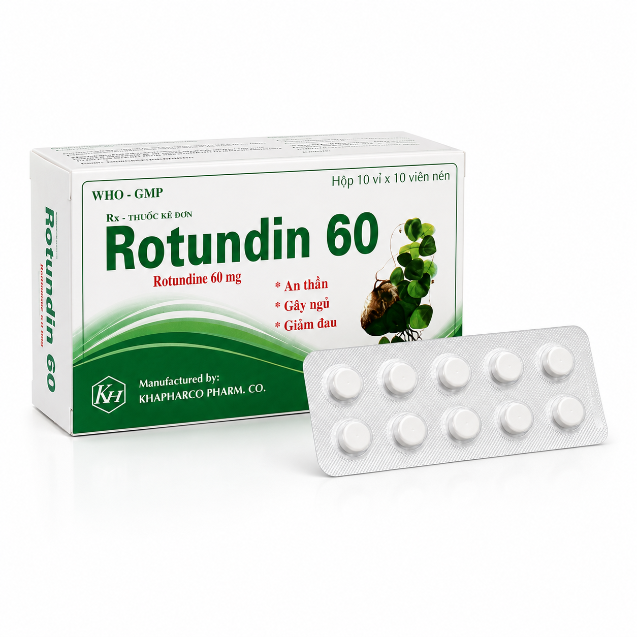 Khánh Hòa_Rotundin 60_H/100v (HĐ)