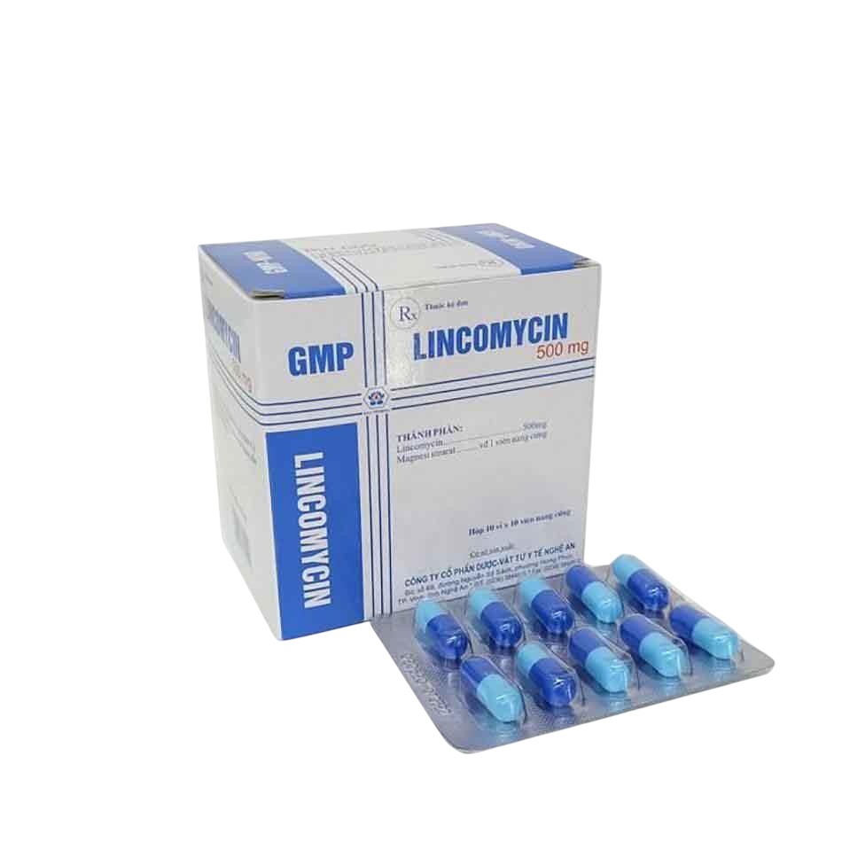 Nghệ An_Lincomycin 500mg_H100v_K63