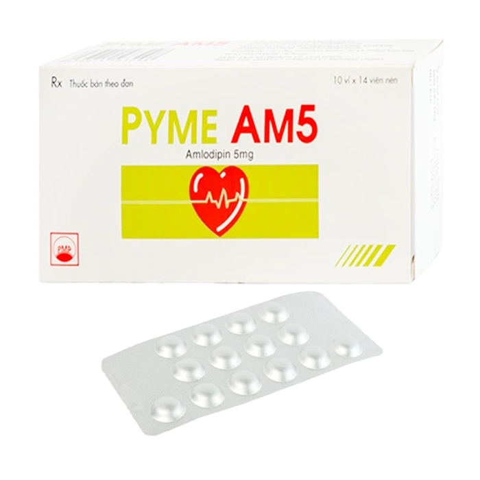 Phú Yến_Pyme AM5_Amlo_H/140v
