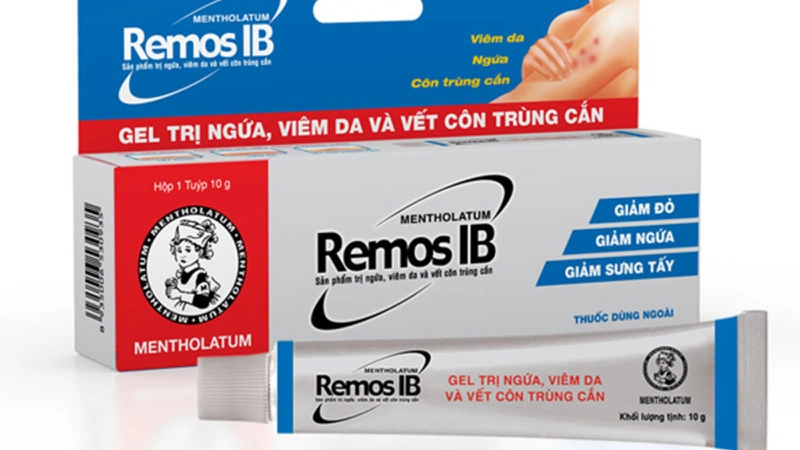 REMOS IB