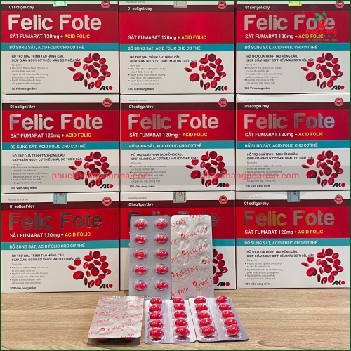  SẮT VỈ FELIC FOTE_H/100v