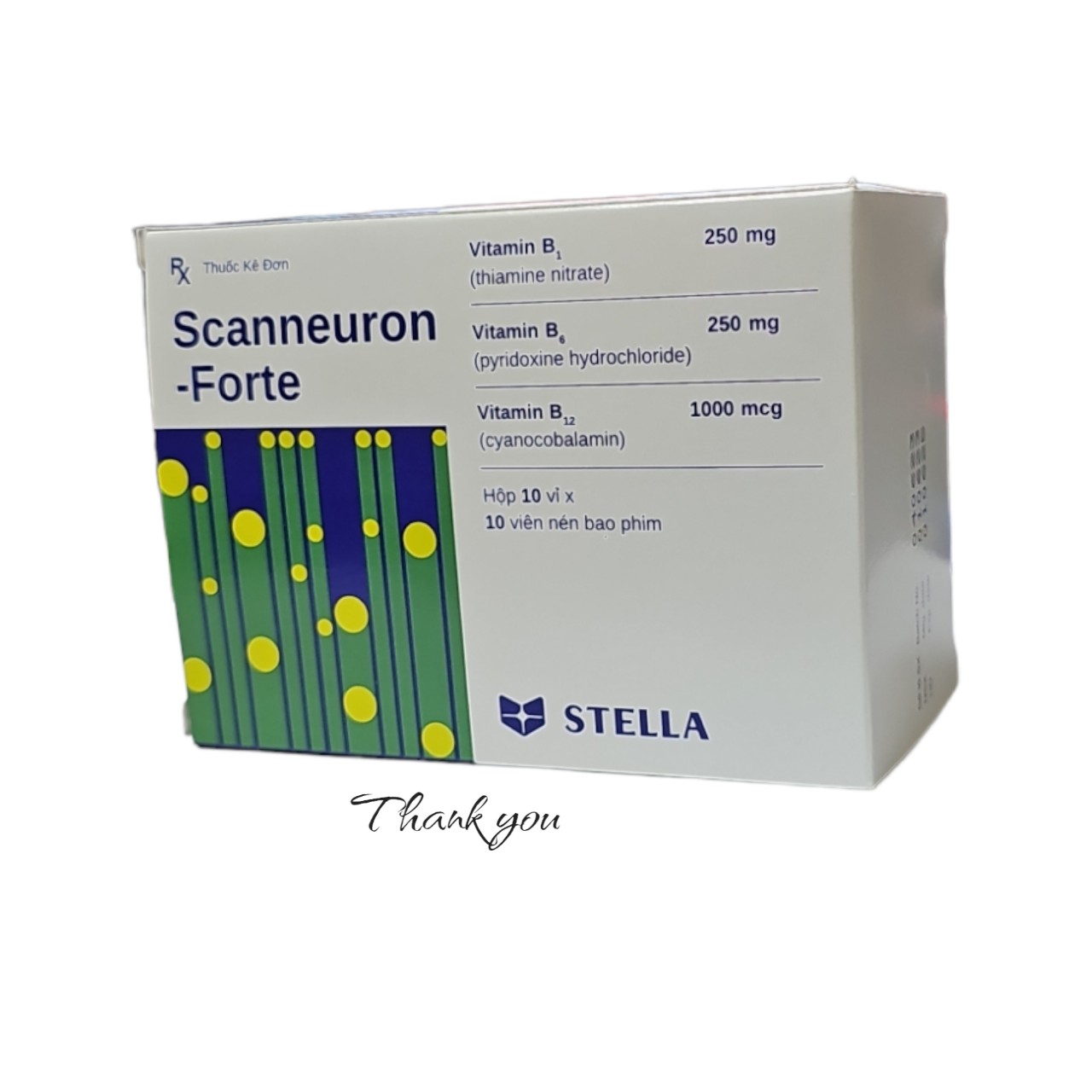 Scanneuron-Forte_H100v_STELLA