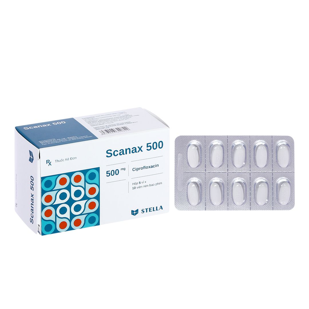  Stella_Scanax 500mg_H50v