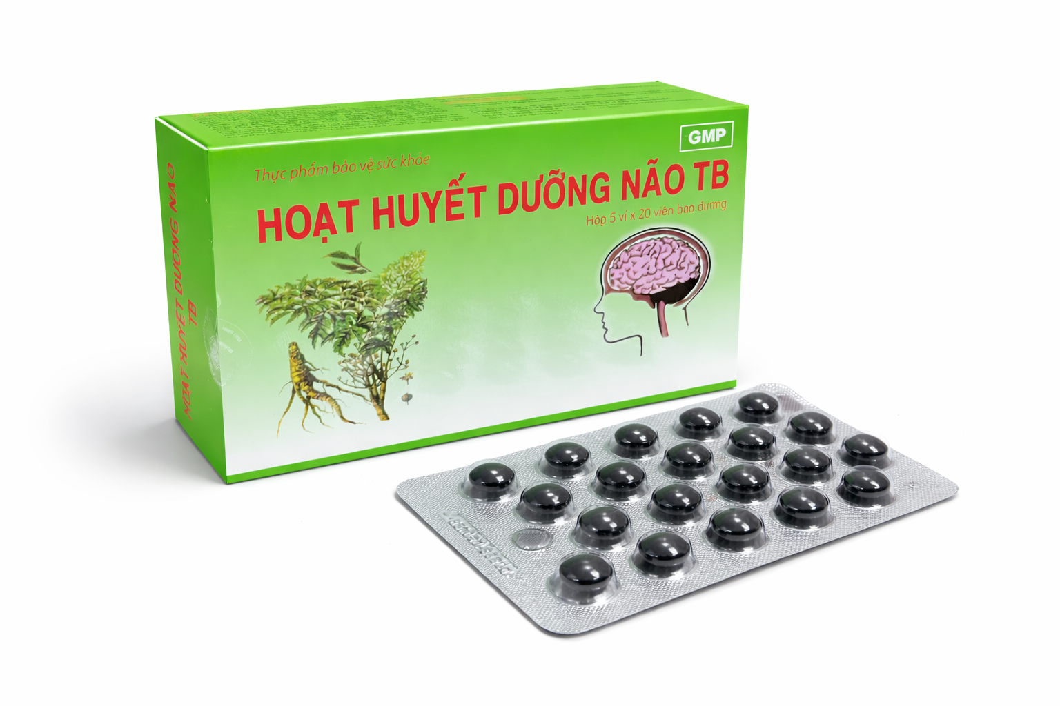 Thái Bình_Hoạt Huyết Dưỡng Não_H/100v K160