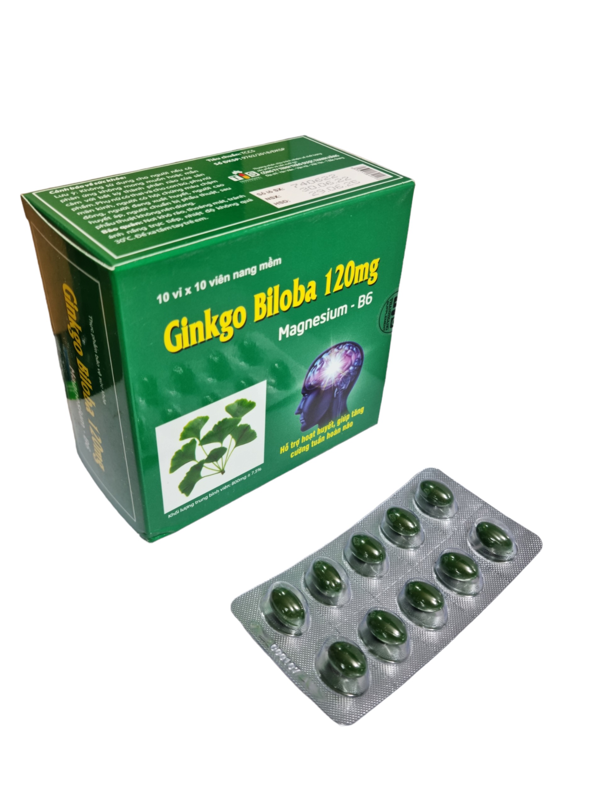 Thanh Hằng_Ginkgo Biloba 120mg Magnesium-B6_H/100v_K92