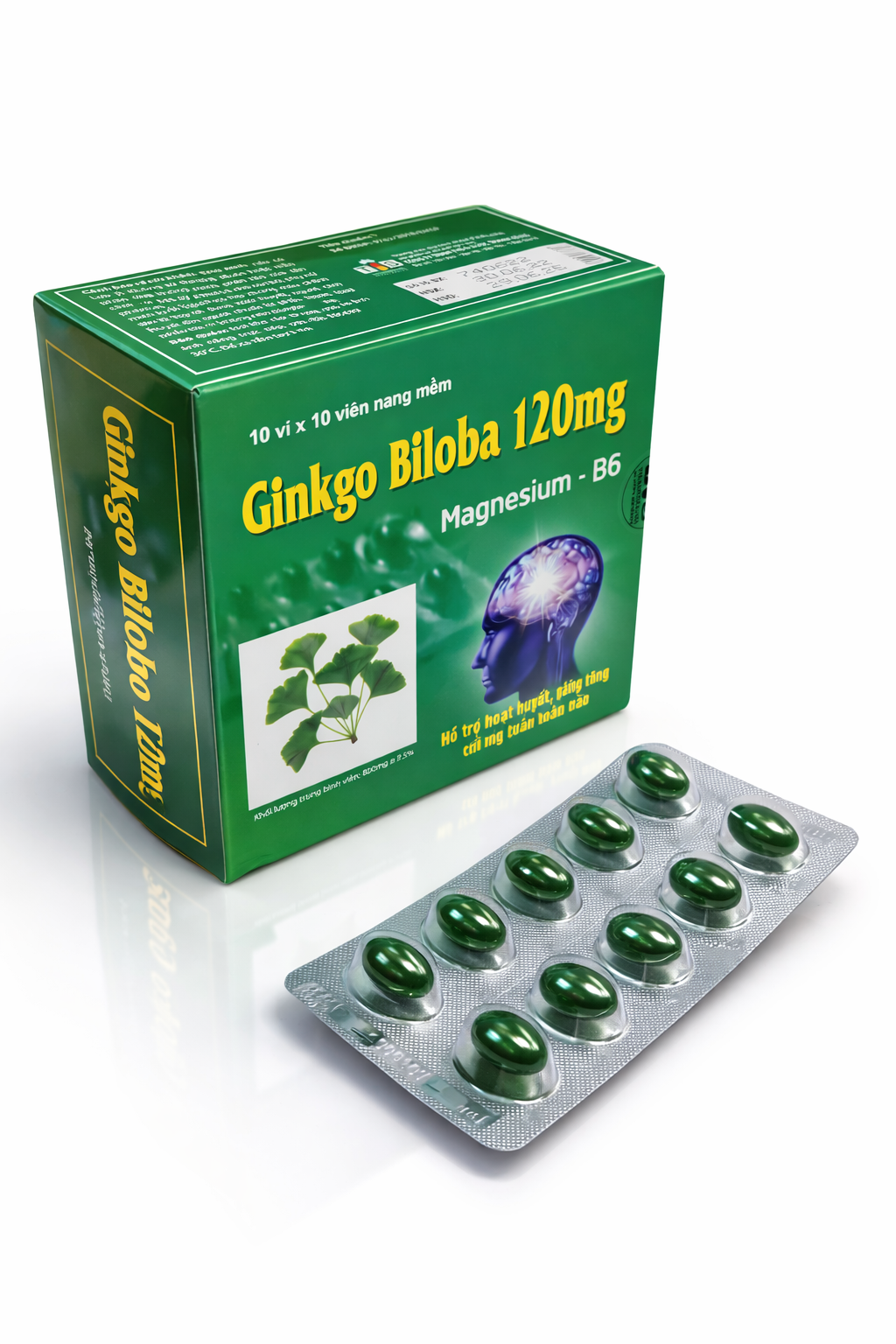 Thanh Hằng_Ginkgo Biloba 120mg Magnesium-B6_H/100v_K92