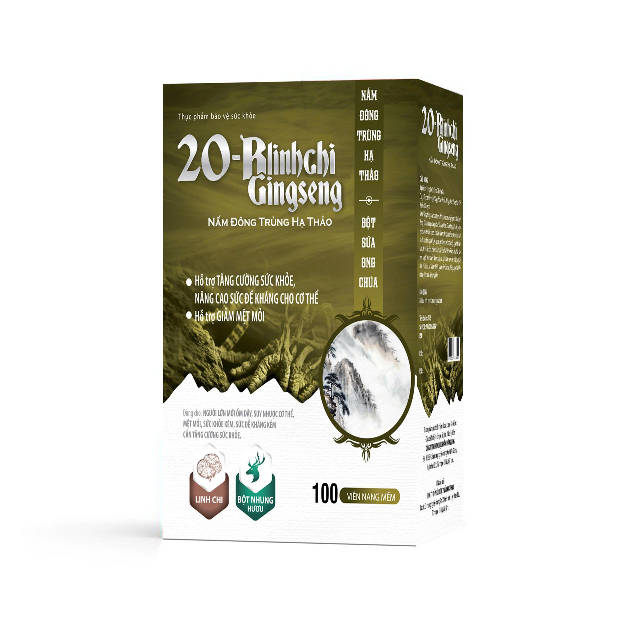 TPBVSK 20-Blinhchi Gingseng NẤM ĐÔNG TRÙNG HẠ THẢO_H100v