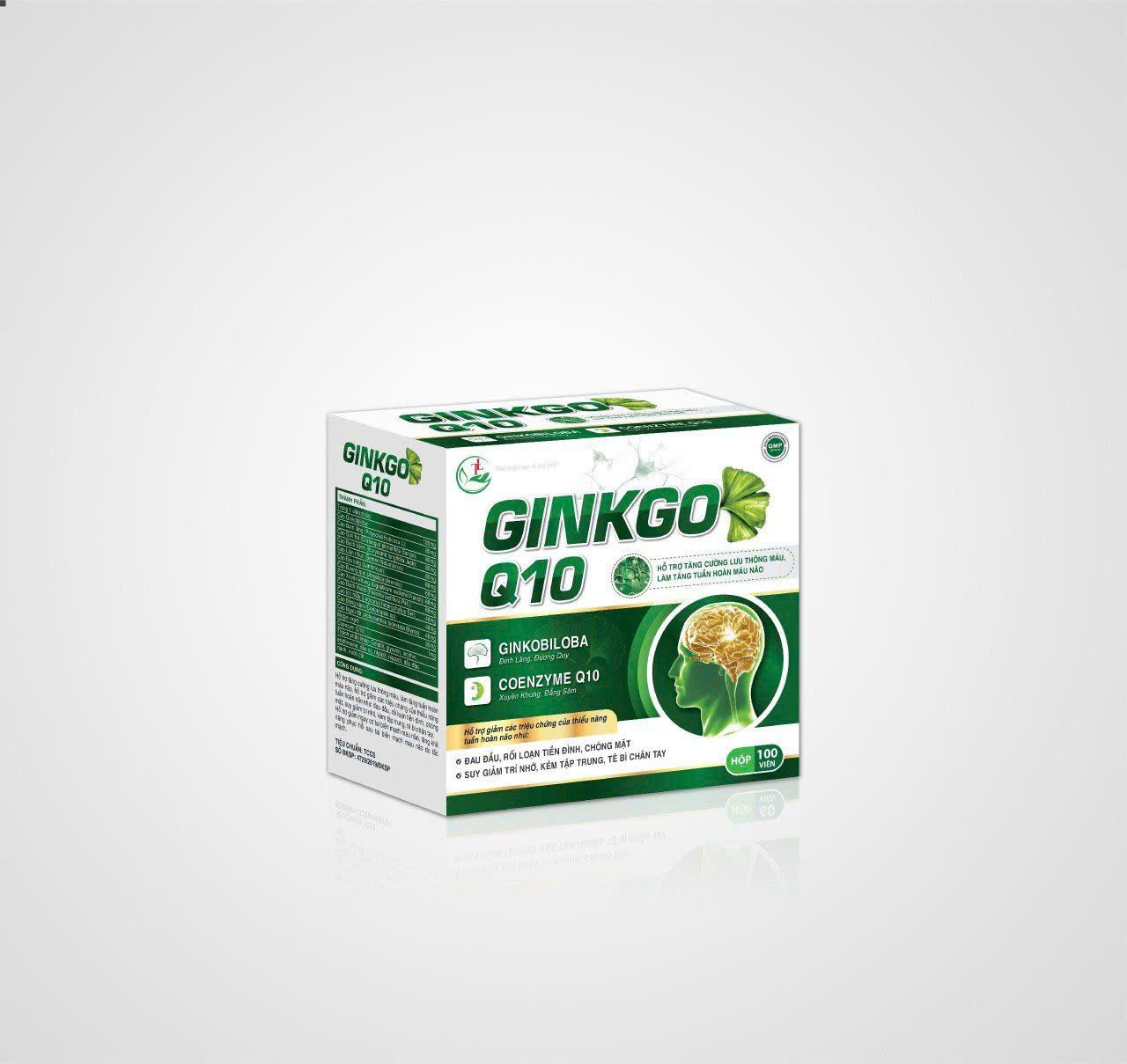Vinaphar_Ginkgo Q10_H/100v_K120