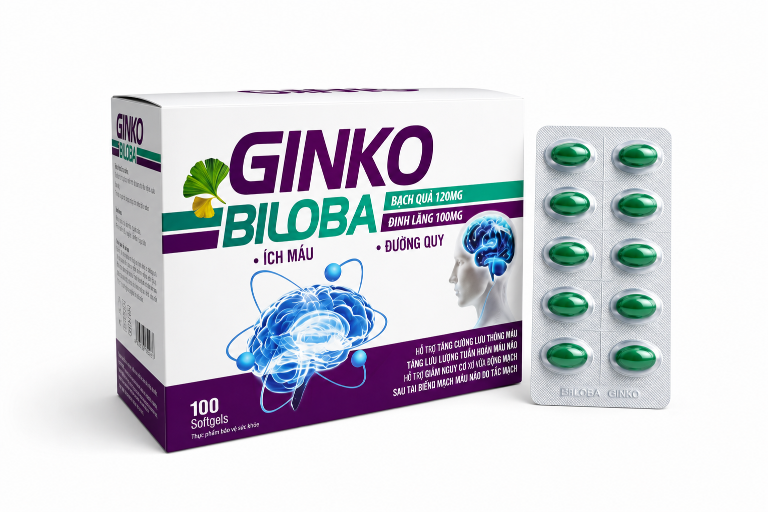 Vinapha_GINKO BILOBA 120mg Trắng Tím_H/100v_K96